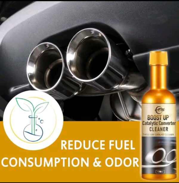 Automotive Catalytic Converter & Engine Cleane